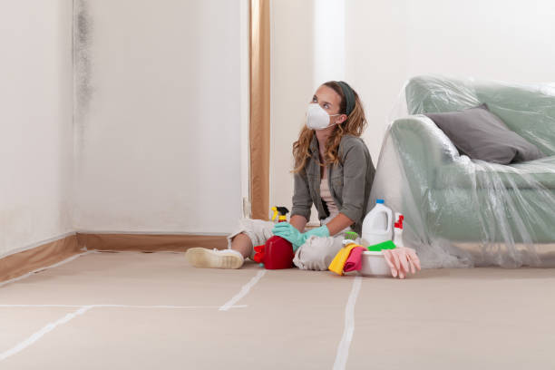 Reliable Commercial Mold Remediation contractor in Fairview, NJ by WQB Mold Removal